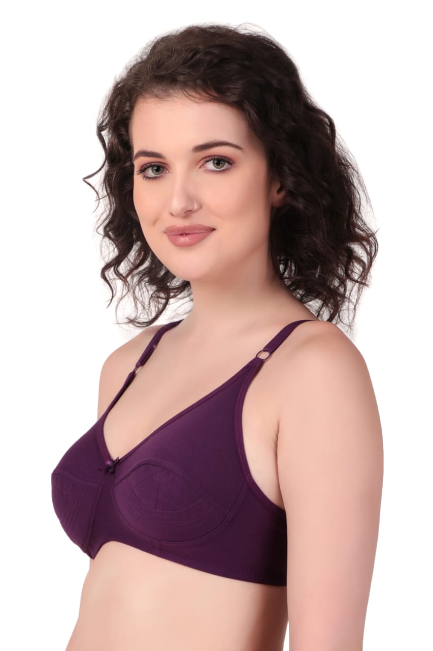 right side view Liamoure Cotton Blend Seamed non wired non padded bra in purple offers full coverage and comfort, ideal for everyday wear in lingerie collections.