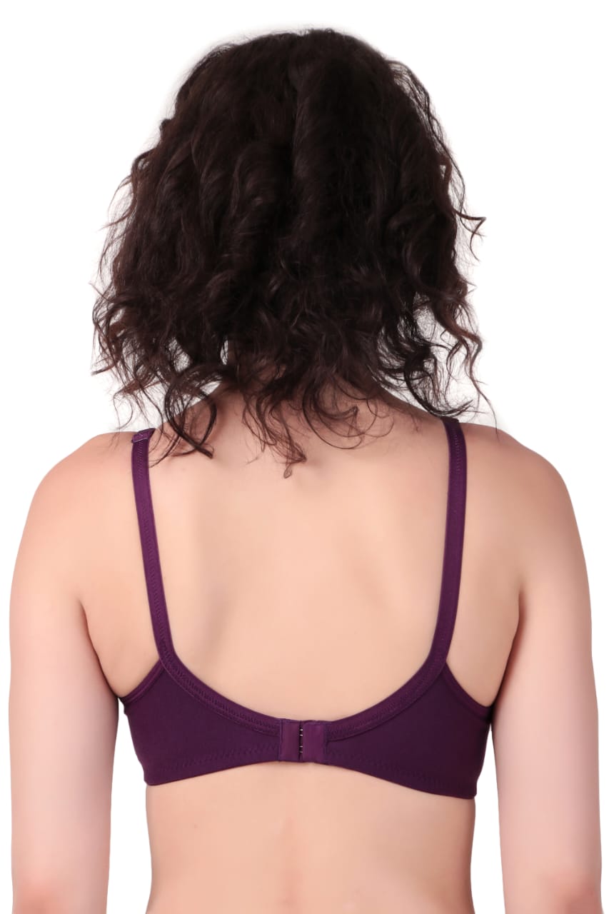 back view Liamoure Cotton Blend Seamed non wired non padded bra in purple offers full coverage and comfort, ideal for everyday wear in lingerie collections.