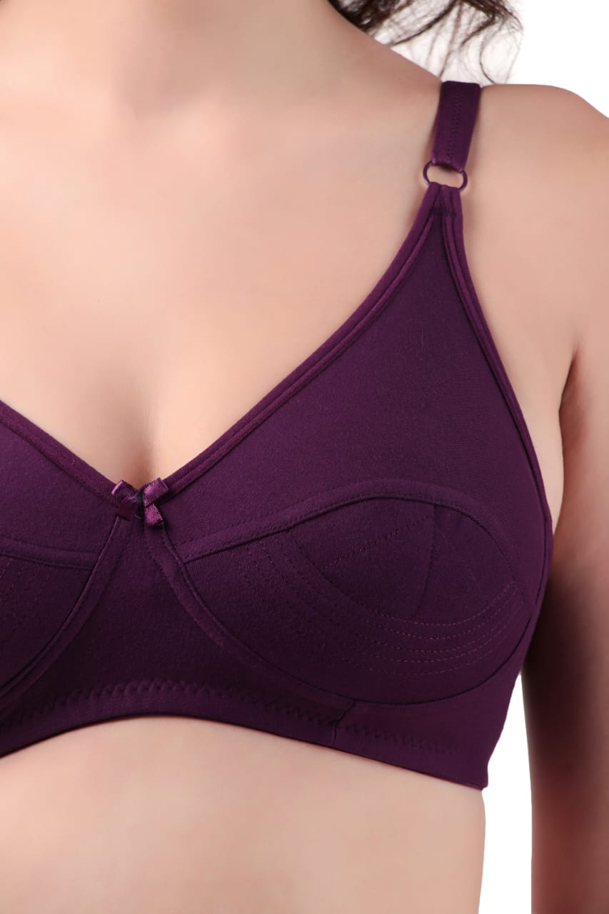front close view Liamoure Cotton Blend Seamed non wired non padded bra in purple offers full coverage and comfort, ideal for everyday wear in lingerie collections.